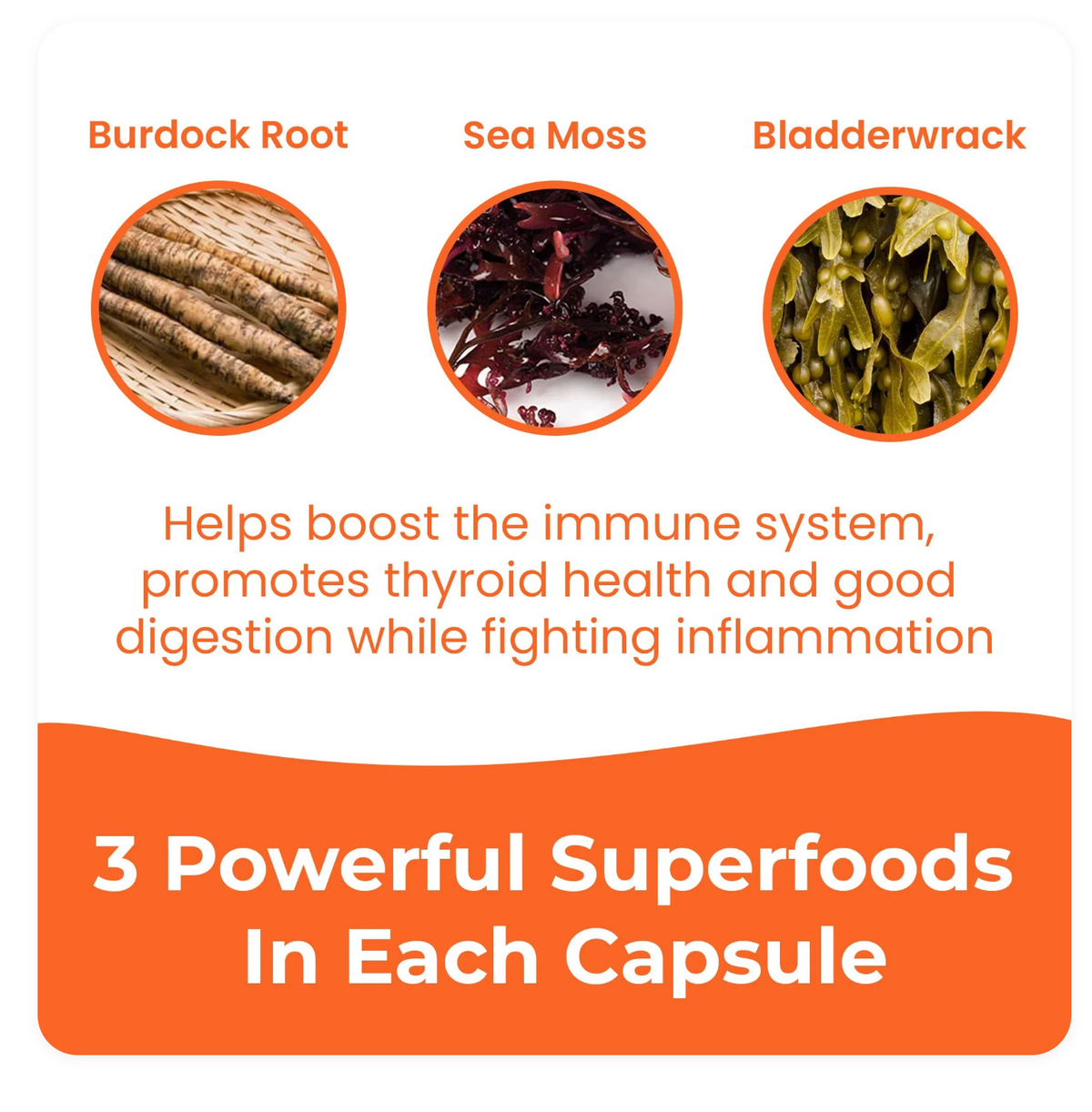 Infinite Age Sea Moss Advanced Superfood, 1250 mg, 120 Count